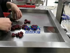 آلة تغليف الغذاء العمودية CP01