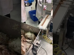 خط إنتاج شريط التمر مع طبقة الفول السوداني والجوز