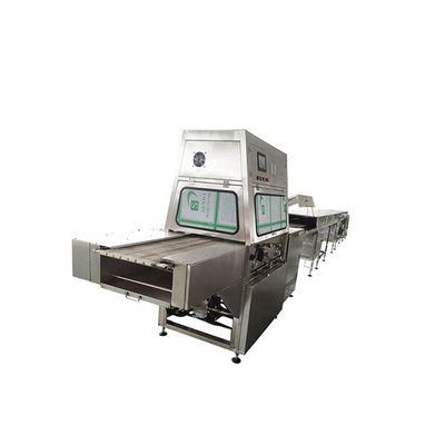 سعر جيد 0-6m/Min دونات شوكولاتة Enrober آلة عرض 400mm لقطاعات الشوكولاتة الانترنت
